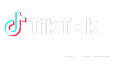 TikTok Partner